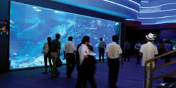 Large acrylic viewing window